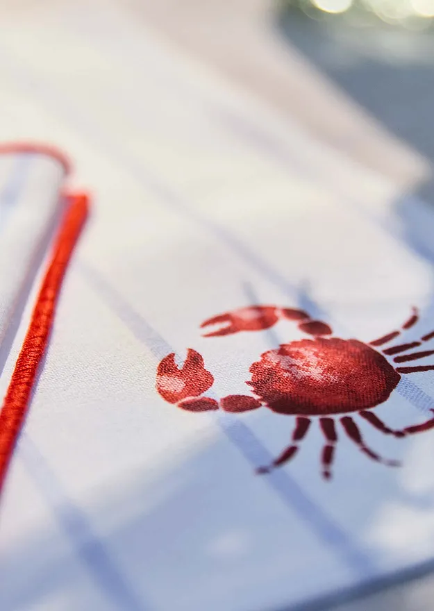 Hjem - Spisebrikker i økologisk bomull (2-pack) - pudderblå/grenadine/hvit