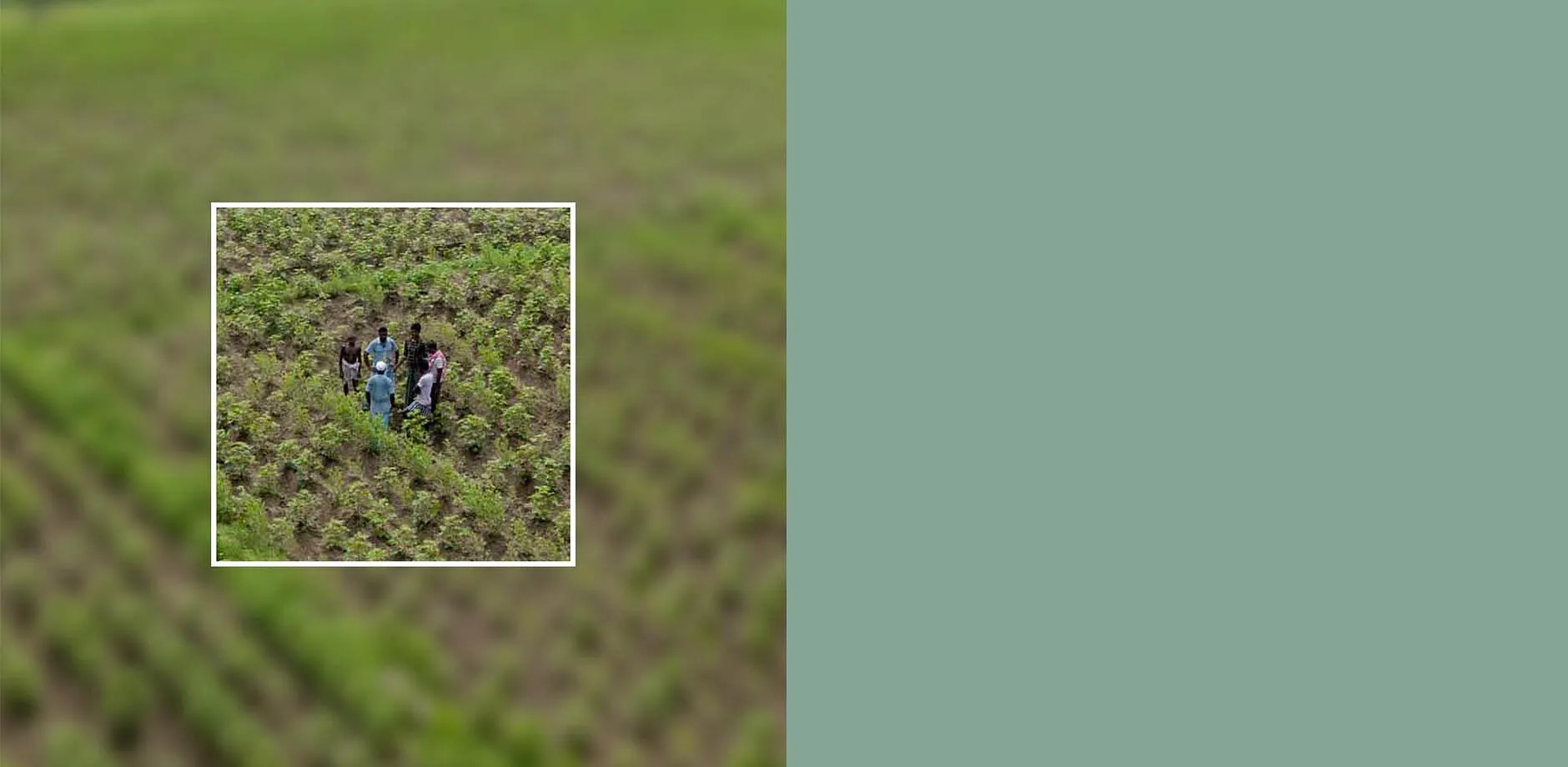 Transparente Herkunft