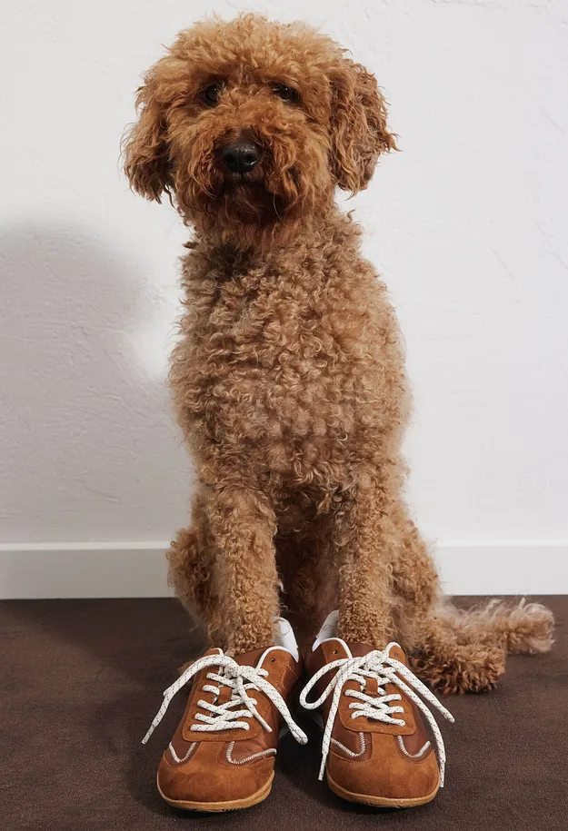 Dame - Retrosneakers - krydderbrun