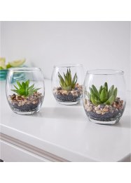 Kunstig sukkulent-plante i glass (3-delt sett), bpc living bonprix collection