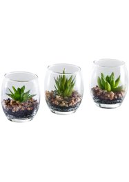 Kunstig sukkulent-plante i glass (3-delt sett), bpc living bonprix collection
