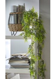 Kunstig plante bambus, bpc living bonprix collection