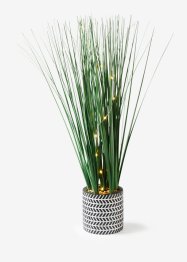 Kunstig LED-plante i keramikkpotte, bpc living bonprix collection