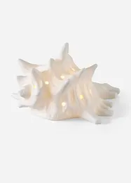 LED-konkylie, bonprix