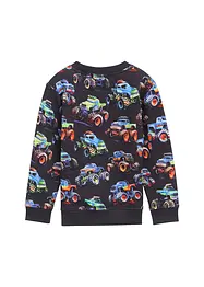 Sweatshirt fra Tom Tailor, Tom Tailor