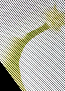 Panelgardiner med orkidé og ensfarget (2-delt sett), bonprix