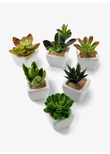 Kunstige planter, sukkulenter (5 deler), bpc living bonprix collection