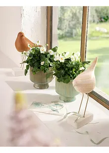 Potteskjuler (2-pack), bonprix