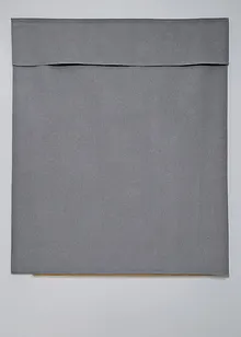 Mørkleggings-liftgardin, ensfarget, bonprix