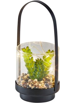Kunstig plante med LED-lys i glass, bpc living bonprix collection
