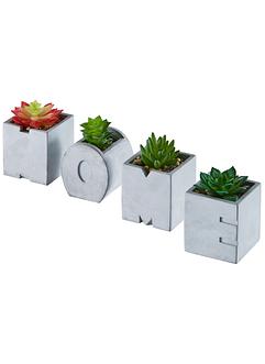 Kunstige sukkulenter i potter med teksten Home (4-delt sett), bpc living bonprix collection