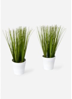 Kunstig plante dekorgress (2-pack), bpc living bonprix collection