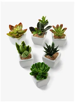 Kunstige planter, sukkulenter (5 deler), bonprix