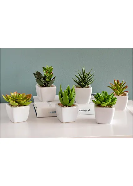 Dekkende Planter
