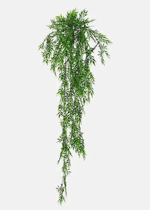Kunstig plante bambus, bonprix