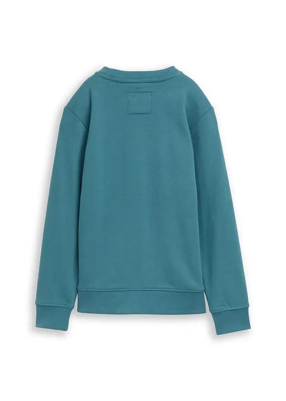 Sweatshirt fra Tom Tailor, Tom Tailor