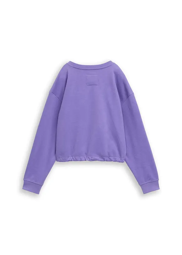 Sweatshirt fra Tom Tailor, Tom Tailor