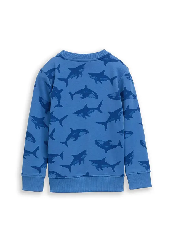 Sweatshirt fra Tom Tailor, Tom Tailor