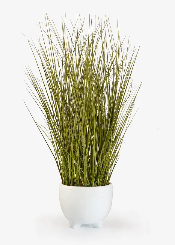 Kunstig plante i potte, bonprix