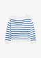 hvit/bl&aring; stripem&oslash;nster
