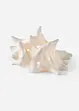 LED-konkylie, bonprix
